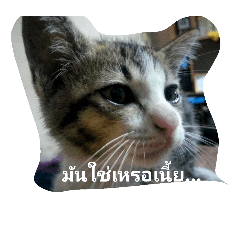 [LINEスタンプ] sugak