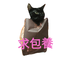 [LINEスタンプ] Meow the Black Cat
