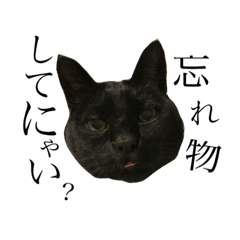 [LINEスタンプ] 黒猫ソカと仲間達