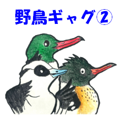 [LINEスタンプ] 野鳥ギャグスタンプ②