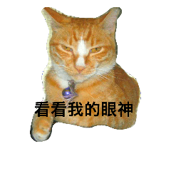 [LINEスタンプ] JANG HOME CATs Two