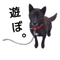 [LINEスタンプ] 浅原家の動物たち