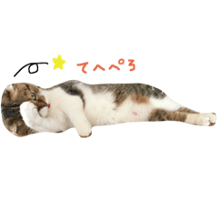 [LINEスタンプ] スコのカルシファー2