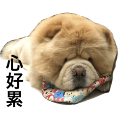 [LINEスタンプ] hoohoo life 2