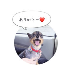 [LINEスタンプ] りゅうさんの日常2の画像（メイン）