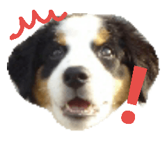 [LINEスタンプ] バニ顔