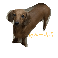 [LINEスタンプ] eeoo