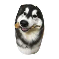 [LINEスタンプ] HuskyHabu