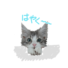 [LINEスタンプ] ブルー の日常  3ヶ月～5ヶ月