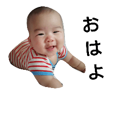 [LINEスタンプ] こてすた