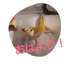 [LINEスタンプ] haichan