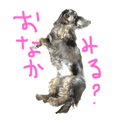 [LINEスタンプ] ハムたんスタンプ1