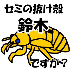 [LINEスタンプ] セミのぬけがら 鈴木ですが？