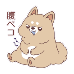 [LINEスタンプ] キリッともち犬＆まねっこ猫