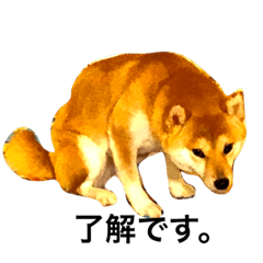 [LINEスタンプ] 豆柴犬しえるさま 5