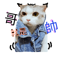 [LINEスタンプ] 猫の兄弟～斑斑＆綿菓子two