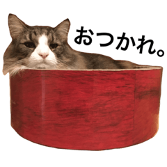 [LINEスタンプ] ねこのつゆ