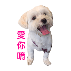 [LINEスタンプ] HappyDog life