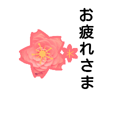 [LINEスタンプ] 花 春爛漫お花が咲いた