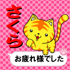 [LINEスタンプ] 超★さくら(サクラ)な吹き出しネコスタンプ