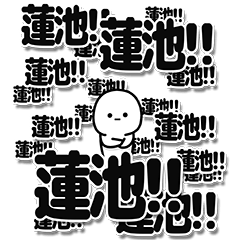 [LINEスタンプ] 蓮池さんデカ文字シンプル