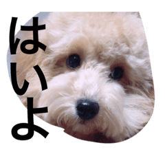 [LINEスタンプ] 中神はな