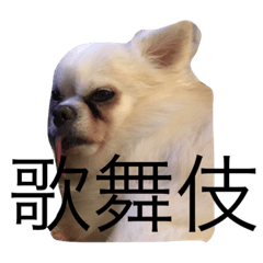 [LINEスタンプ] ブルーくん