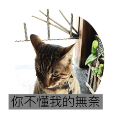 [LINEスタンプ] pupu cat＆dog