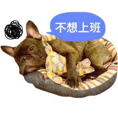 [LINEスタンプ] my dog bee bee