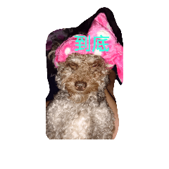 [LINEスタンプ] Dog I love
