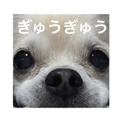 [LINEスタンプ] サスケ15
