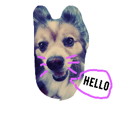 [LINEスタンプ] papelbonthepapillon