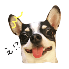 [LINEスタンプ] 京ルナすたんぷ
