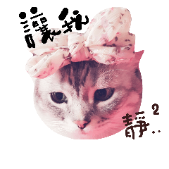 [LINEスタンプ] Cat brother~Ban ban＆Cotton Candy 5