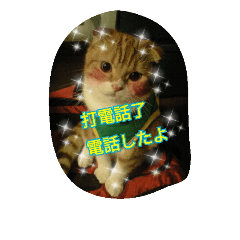 台湾語 日本語 中国語 猫 鳥 うさぎ