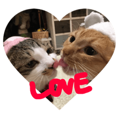 [LINEスタンプ] とろろとむぎ