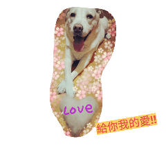 [LINEスタンプ] Happy＆Smile！