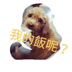 [LINEスタンプ] orange dog2