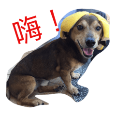 [LINEスタンプ] ChenHan