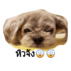 [LINEスタンプ] doggybb