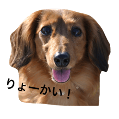 [LINEスタンプ] ダックスフンドのななちゃん