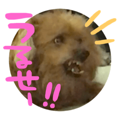 [LINEスタンプ] うずとろみるく