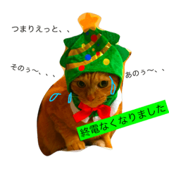 [LINEスタンプ] 猫のうなぎさん
