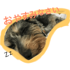 [LINEスタンプ] モジャと鳥スタンプそのに