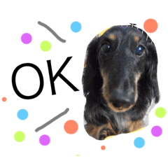 [LINEスタンプ] 犬と娘