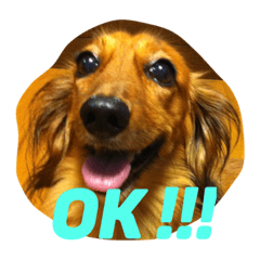 [LINEスタンプ] max max max
