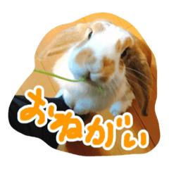 [LINEスタンプ] withnana 