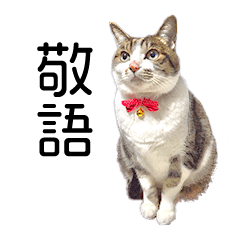 [LINEスタンプ] 敬語にゃんこず