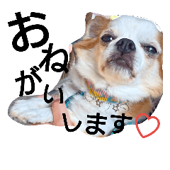 [LINEスタンプ] ラムスタンプ第2段♡