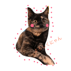[LINEスタンプ] 我が家のわさび